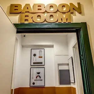 Baboon Rome